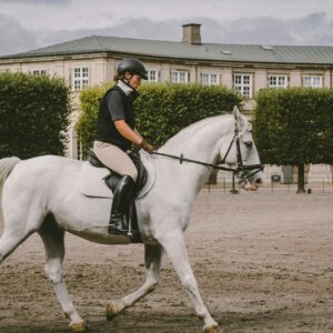 Cheval gris monté en dressage