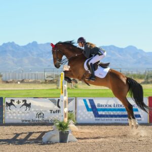 Cheval en saut d’obstacles lors d’un concours de CSO