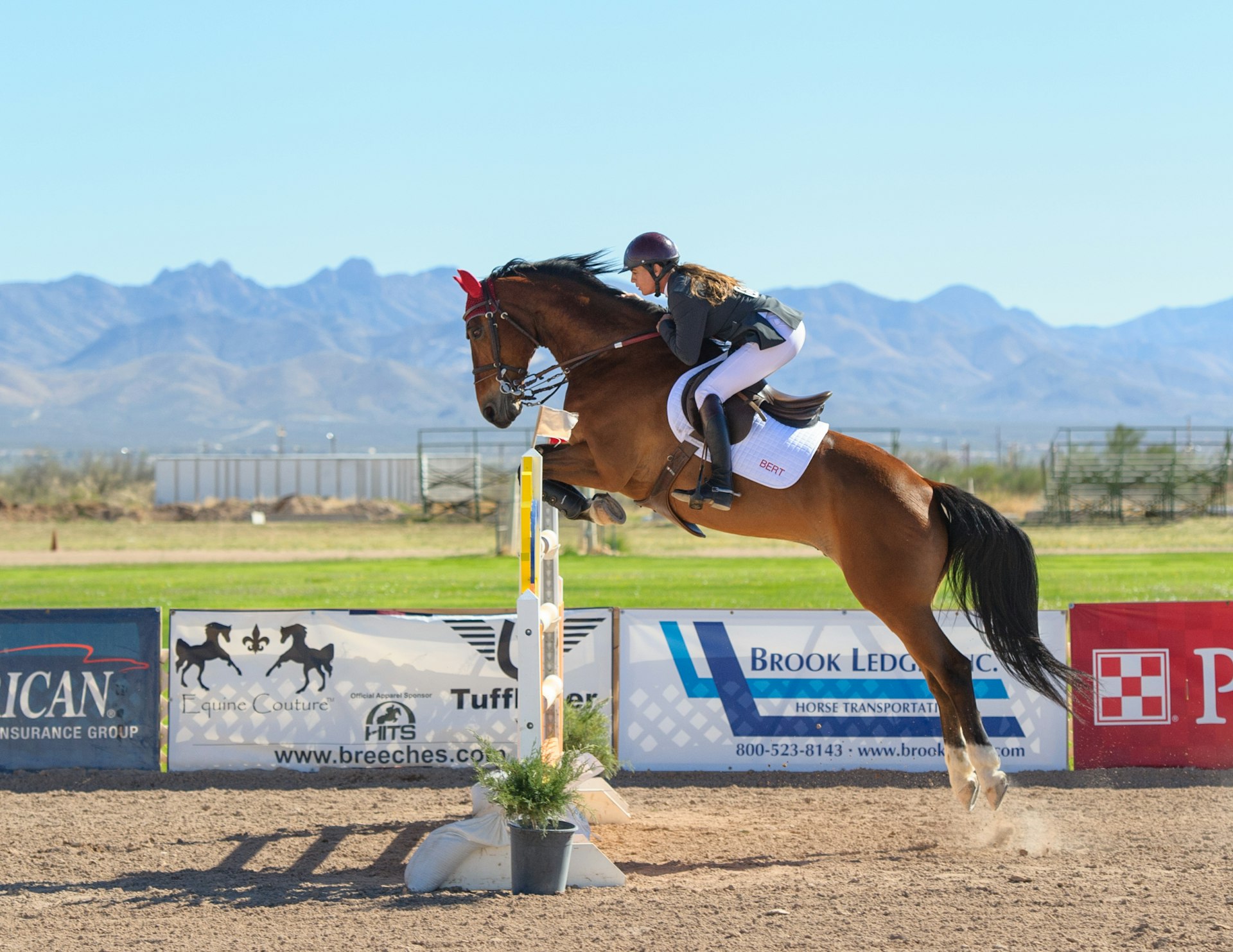 Cheval et cavalier franchissant un obstacle